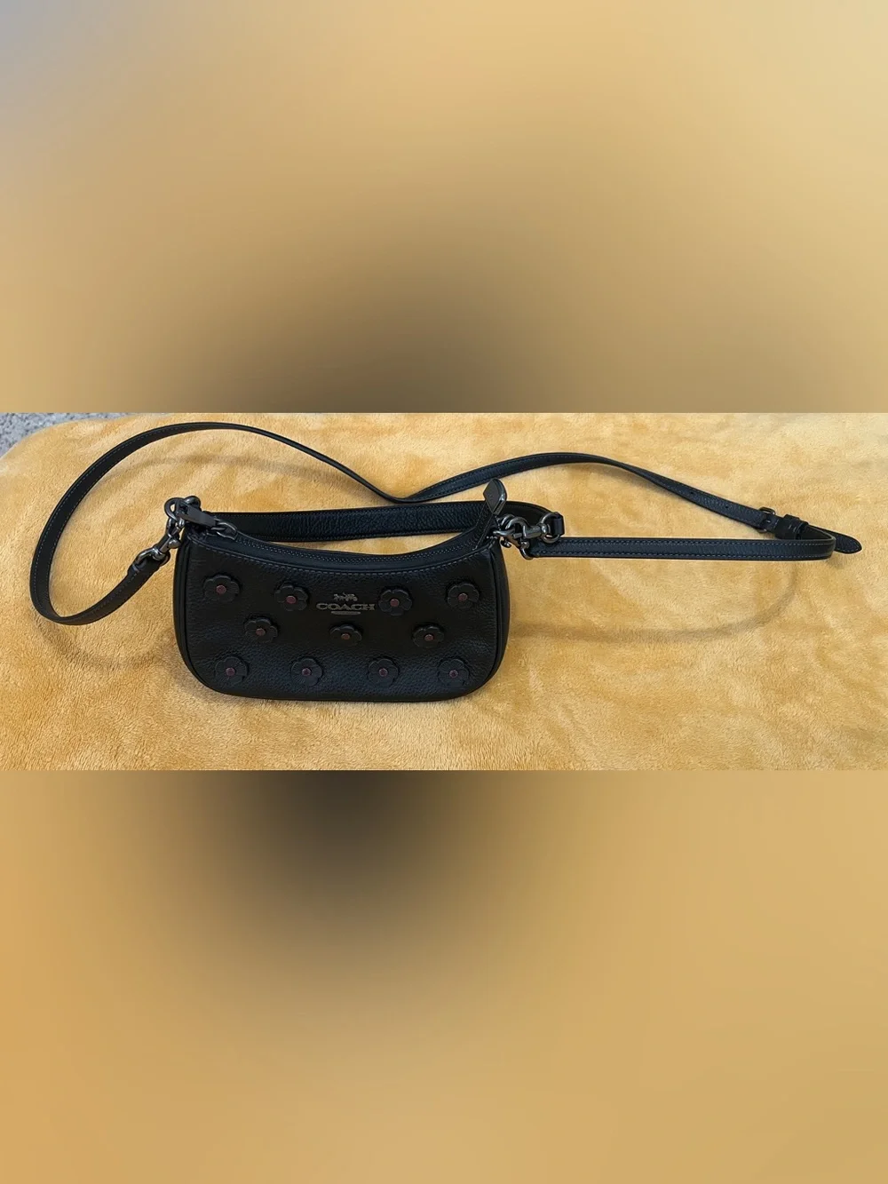 Coach Black Pebbled Leather Mini Shoulder Bag with Floral Appliqués